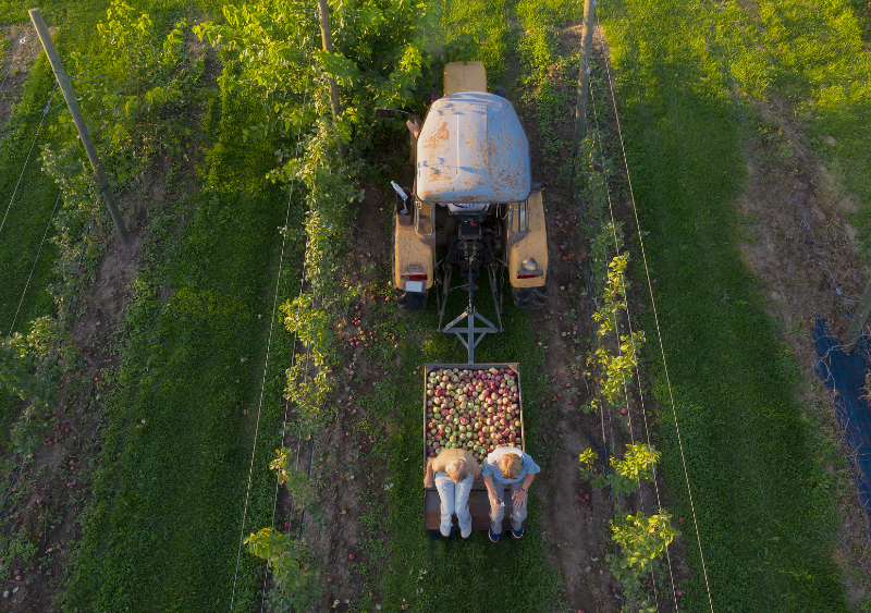 Ag, Harvest